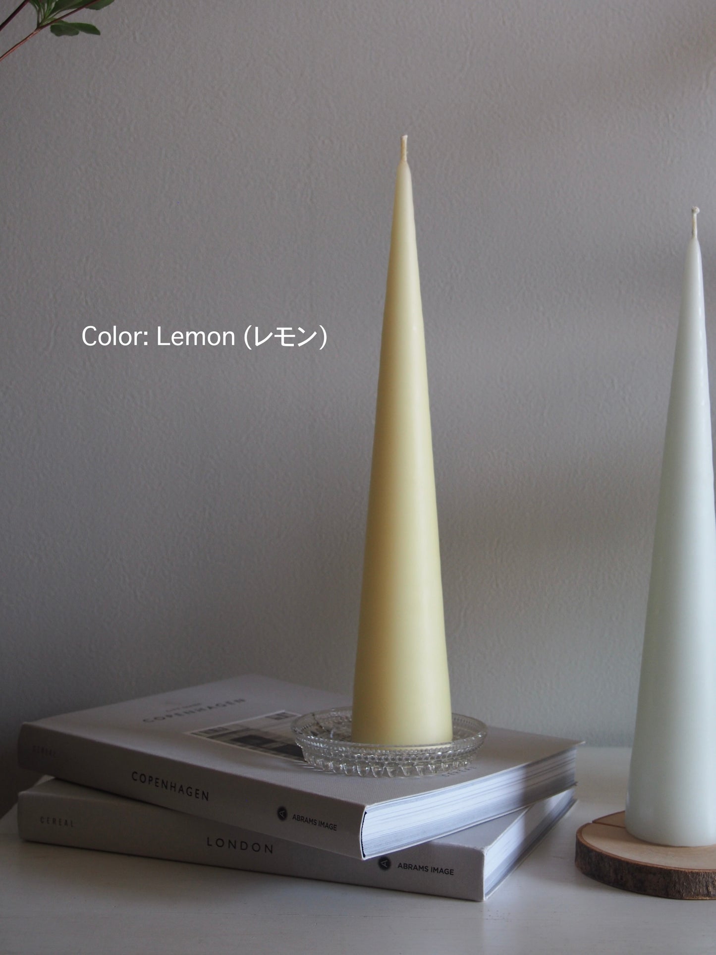 Denmark - NEW - ester & erik - Cone Candle